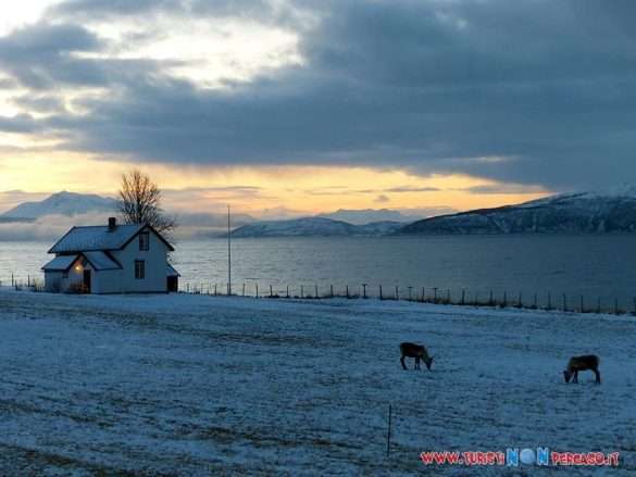 Foto Tromso