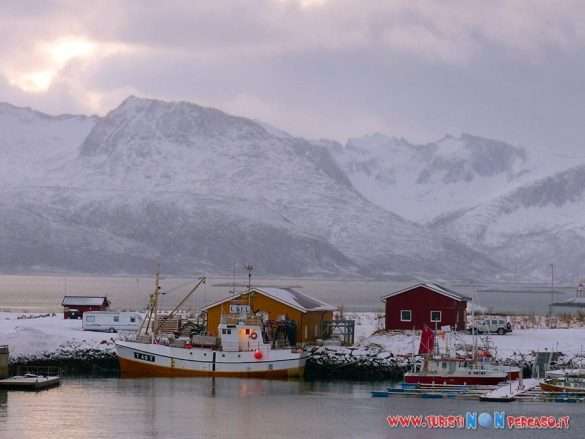 Norvegia Tromso