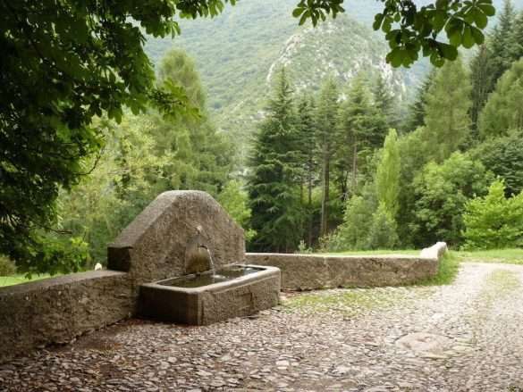 Foto Terz'Alpe Sentiero Spirito del Bosco