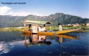 Kashmir-Srinagar-Dal-lake_resized