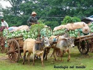 mianmar-mandaly-bagan_02