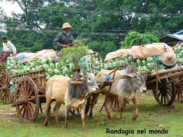 Myanmar Mandaly Bagan