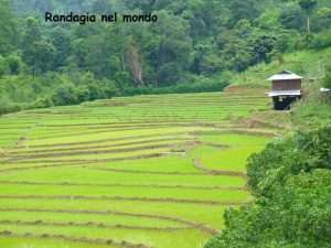 Atomi di Myanmar