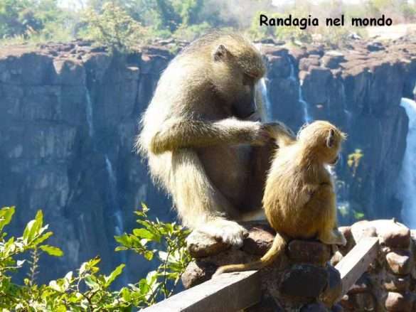 Cascate Vittoria Zimbabwe