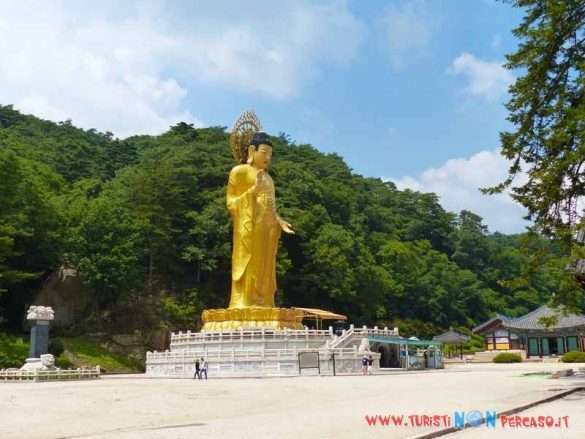 Foto Daejeon Corea
