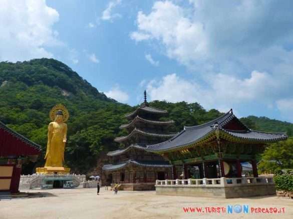 Video Daejeon