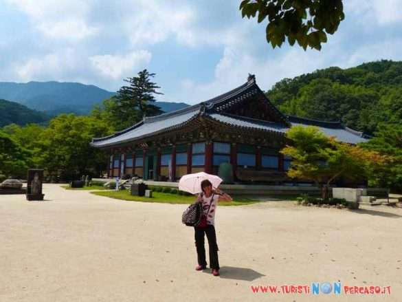 Foto Daejeon Corea