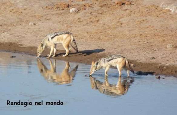 Fotografie Namibia