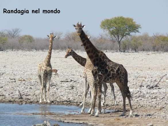 Fotografie Namibia