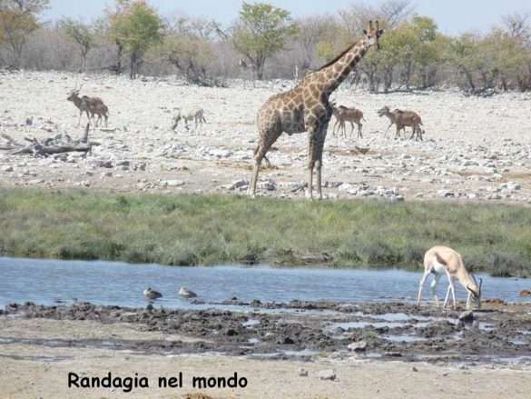 Fotografie Namibia