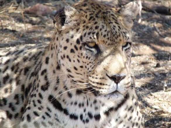 Fotografie Namibia