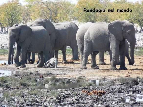 Fotografie Namibia