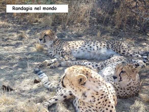 Fotografie Namibia