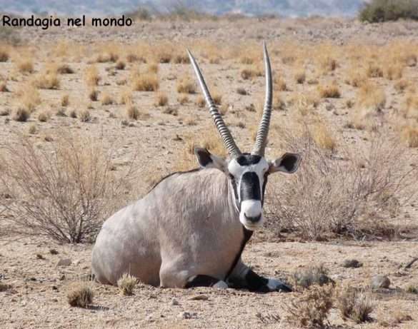 Fotografie Namibia