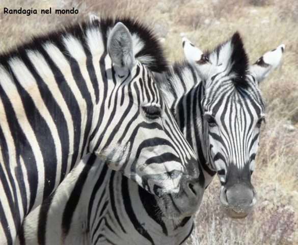 Fotografie Namibia