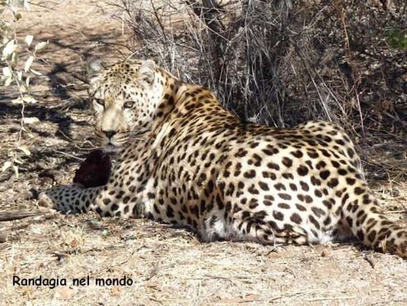 Fotografie Namibia