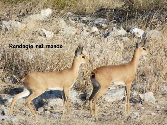 Fotografie Namibia
