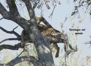 Namibia low cost
