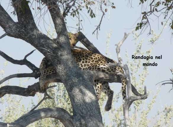Fotografie Namibia