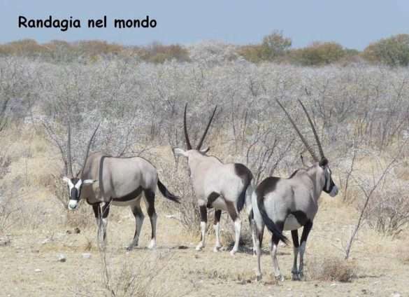 Fotografie Namibia