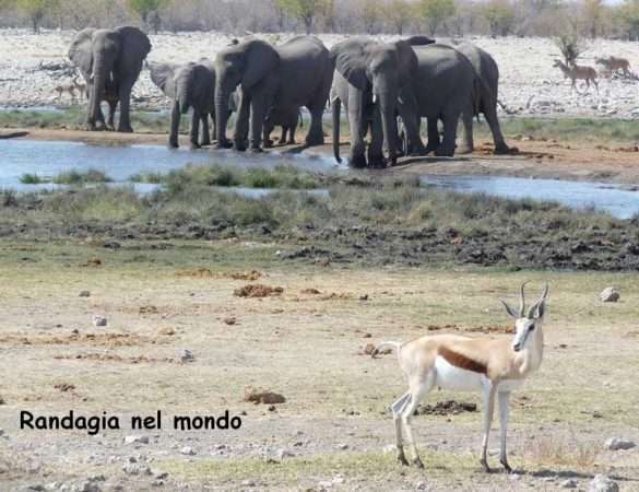 Fotografie Namibia