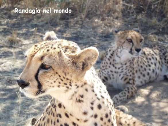Fotografie Namibia