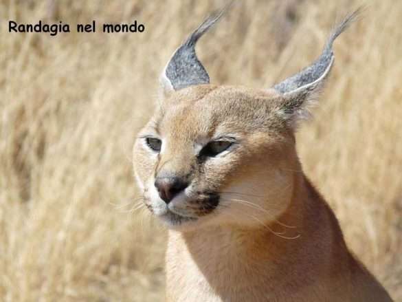 Fotografie Namibia
