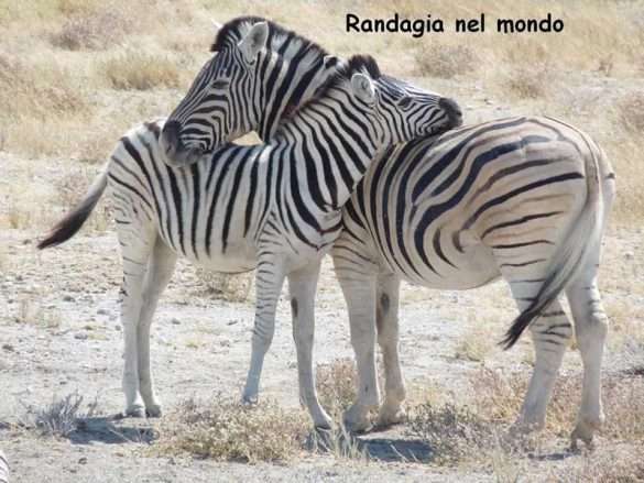 Fotografie Namibia