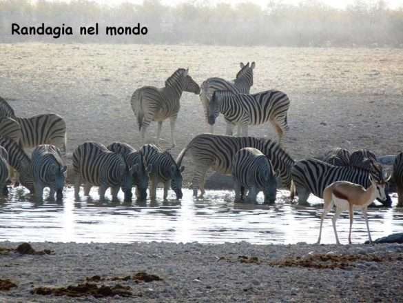 Fotografie Namibia