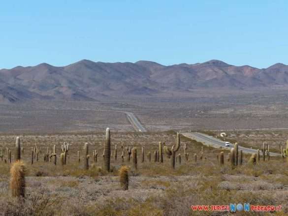 Cachi e Parco Nazionale Los Cardones in Argentina