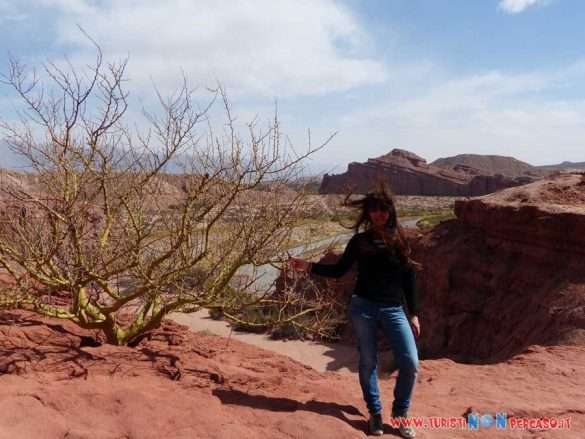Gola di Cafayate nella Quebrada de las Conchas in Argentina