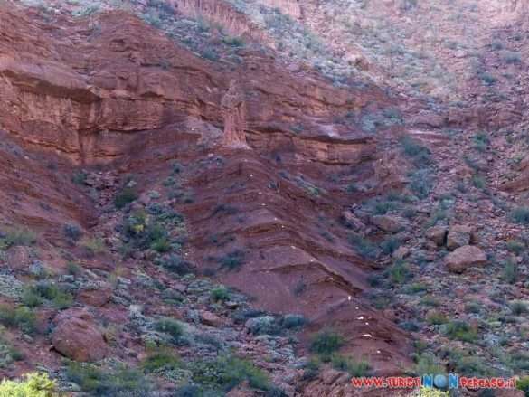 Cafayate Argentina