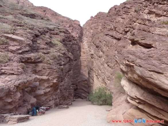 Cafayate Argentina