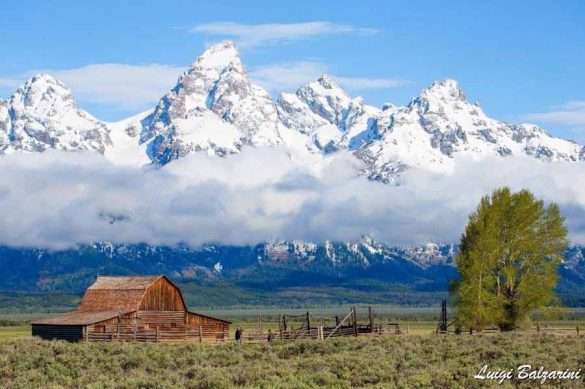 Grand Teton