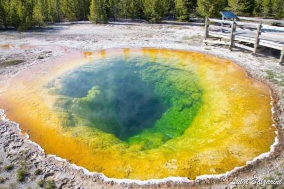 Geyser di Yellowstone