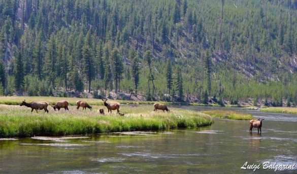 Grand Teton