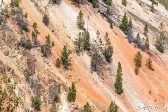 Yellowstone