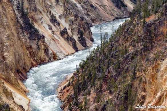 Yellowstone