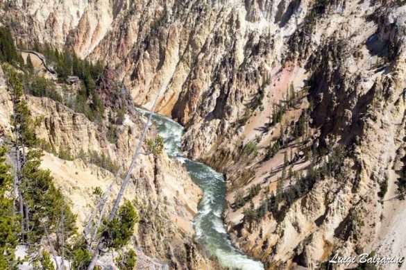 Yellowstone