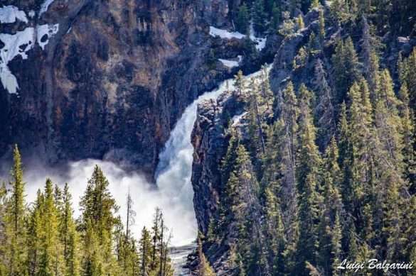 Yellowstone