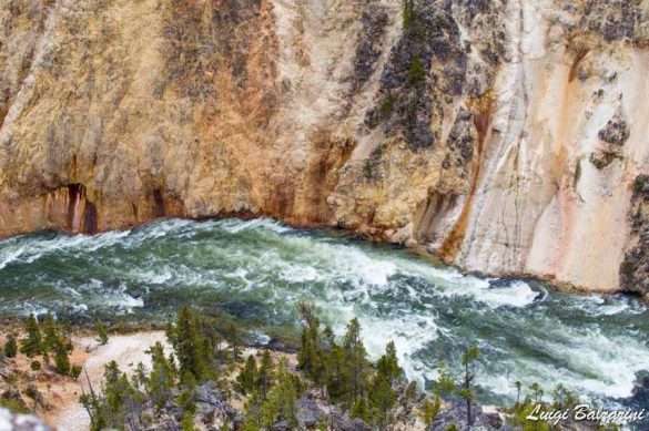 Yellowstone