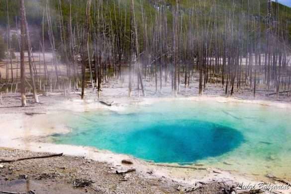 Yellowstone