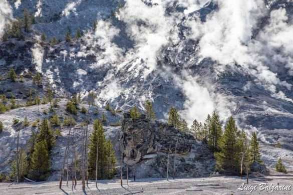 Yellowstone