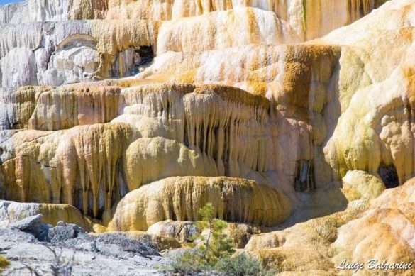 Yellowstone