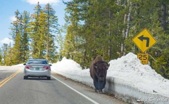 Grand Teton