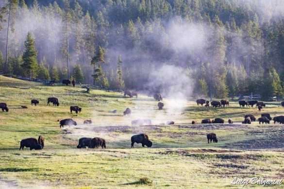 Grand Teton