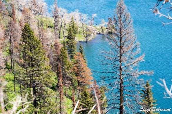 Glacier Waterton