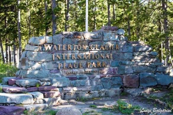 Glacier Waterton