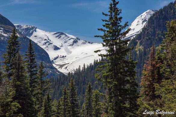 Glacier Waterton