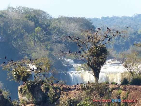 Cascate Iguazu Argentina